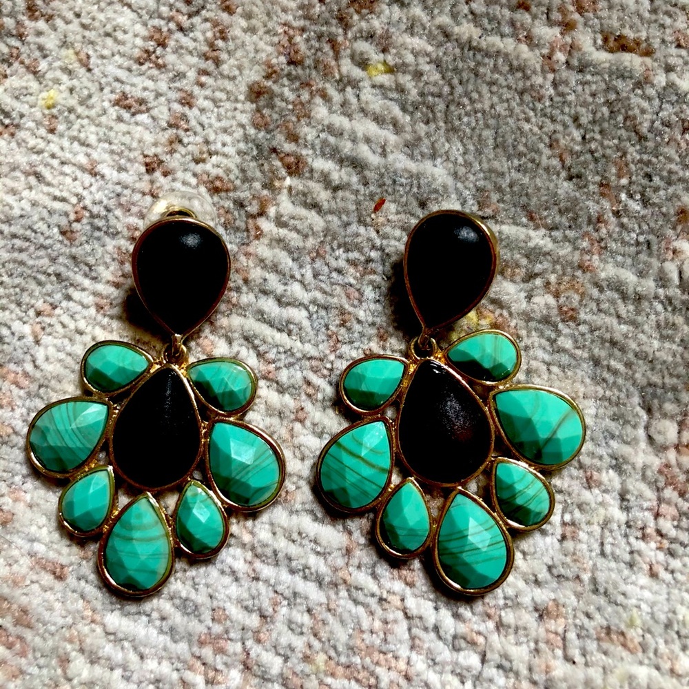 Turquoise and Wood Detail Earrings